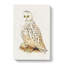 Snowy Owl - Wrapped Canvas-55341334