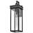 Cole Outdoor Wall Mount Lantern - Coastal Elements Collection-530486617