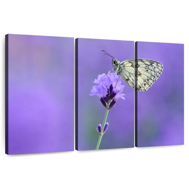 Brampt Marbled White Butterfly, 48" H x 74" W