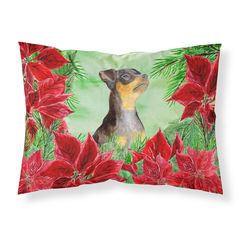 Microfiber, Miniature Pinscher #2