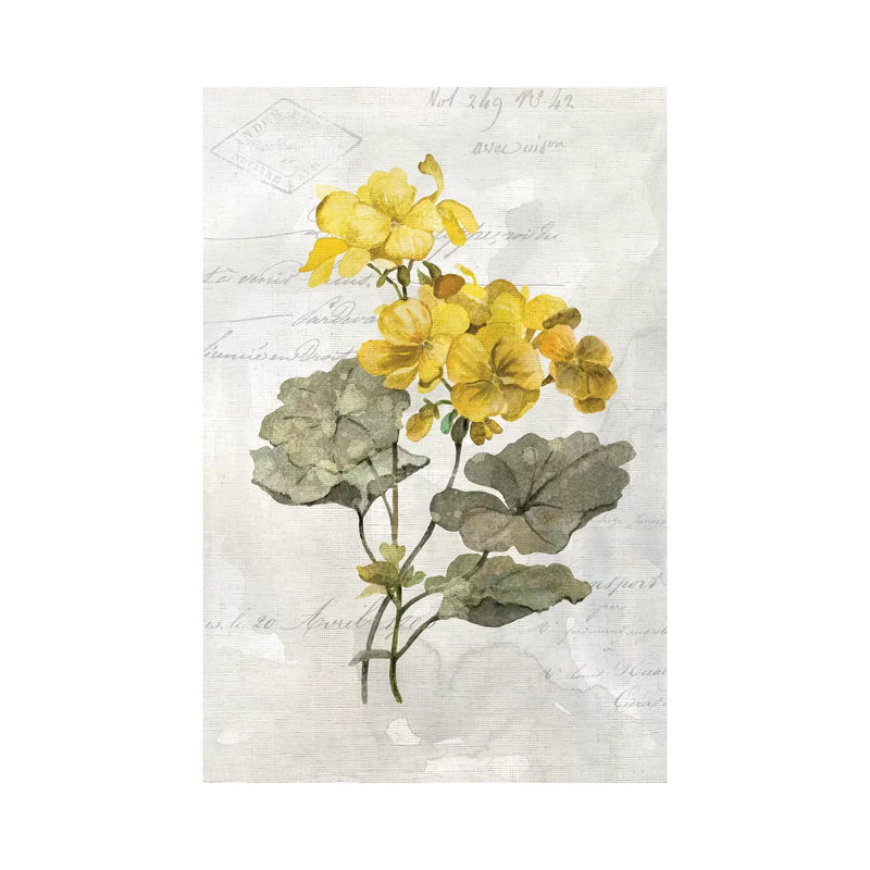 «Canary Linen Geranium» par Carol Robinson - reproduction d'art, Aucun mat, H 60 po x l 40po x P 1,5 po, Toile tendue