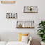 Mankin 3 Piece Floating Shelf