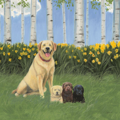 Proud Mom by James Wiens - Wrapped Canvas Print