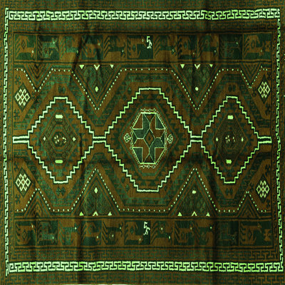Performance Southwestern Indoor Rug