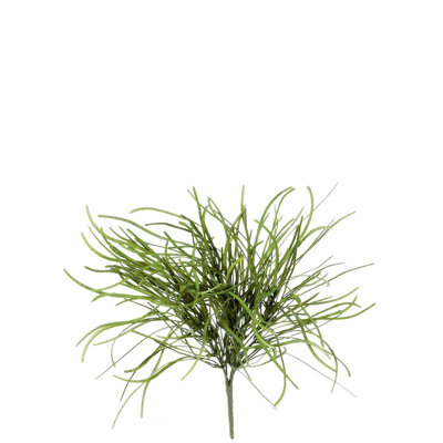 Pulvérisateur pour gazon perle