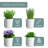 Indoor Herb Garden Planter Set with Tray-1028904029