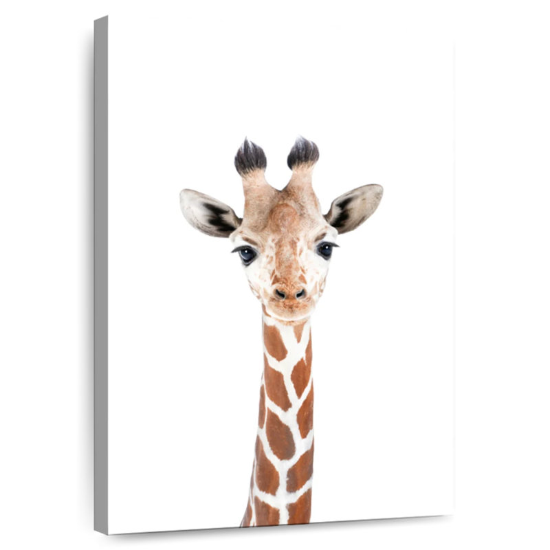 Brampt Adorable Baby Giraffe, 12" H x 8" W