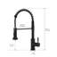 Robinet de cuisine rétractable-125337695