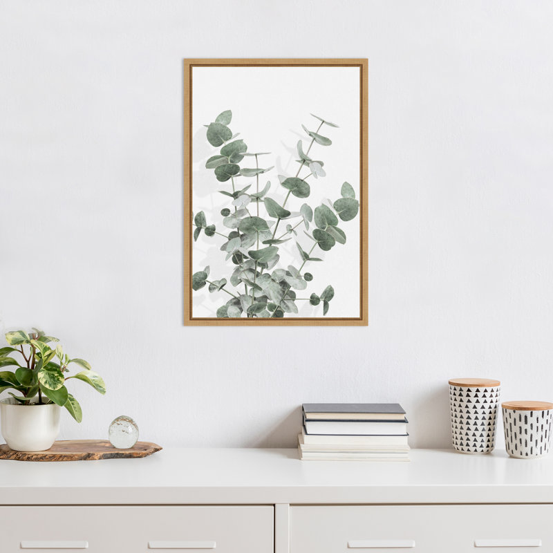 «Eucalyptus Creative 16» par Picufy Studio III, reproduction d'art sur toile encadrée, H 23 po x l 16 po