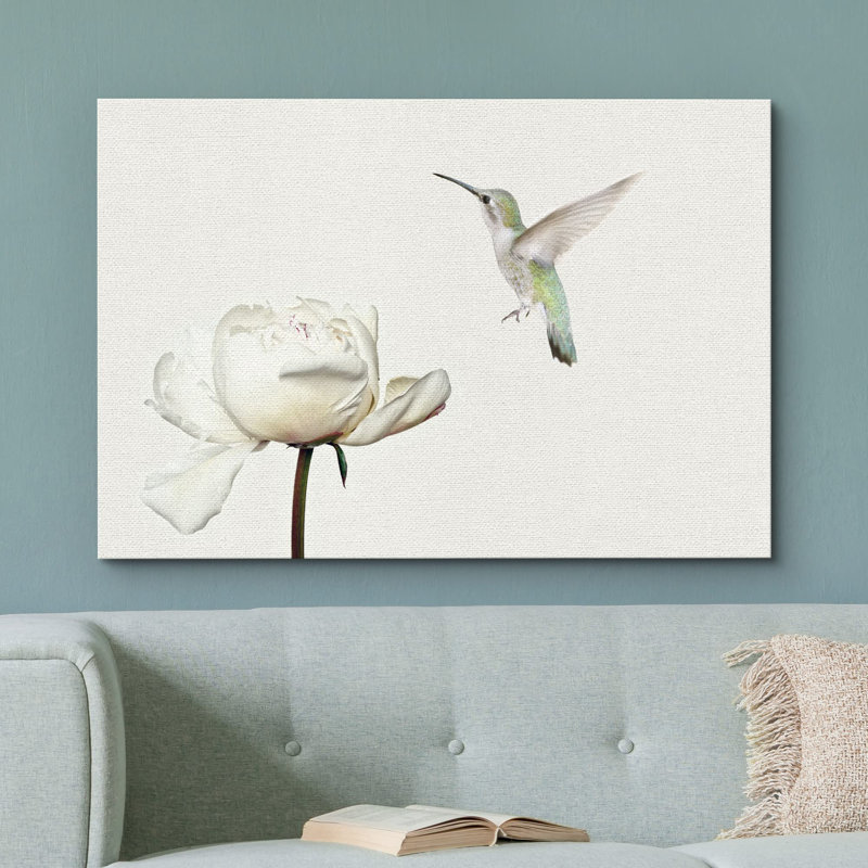 Animaux, colibri vole sur une fleur d'œillet blanc sur toile, Toile tendue, H 32 po x l 48 po x P 1,5 po