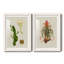 Elegant Tropicals III - impression d'art graphique-752906384-752906387-753135773