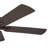 Belmar 52" Ceiling Fan with Pull Chain-1852046313