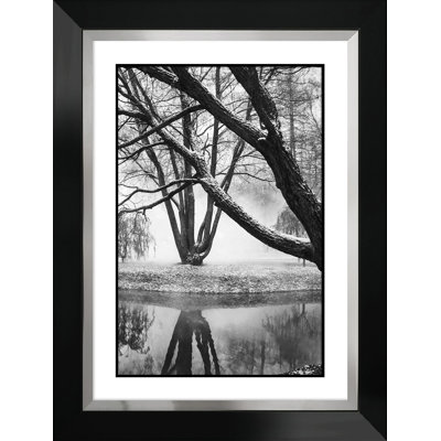Trees By The Pond by NONE - Single Picture Frame Graphic Art.