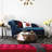 Sequined Feather Throw Pillow