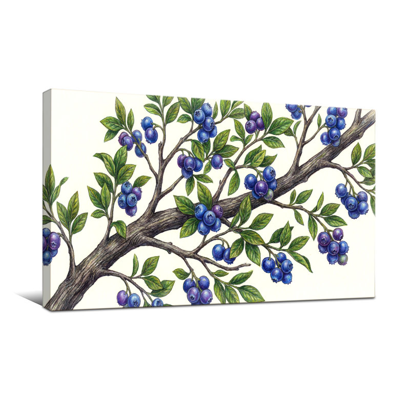 Plantes et fleurs - branche de bleuet avec feuilles vertes et baies mauves, H 16 po x l 32 po