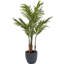 120cm Faux Plant in Cement Pot