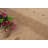 Laylonie Moroccan Indoor / Outdoor Rug-44167452