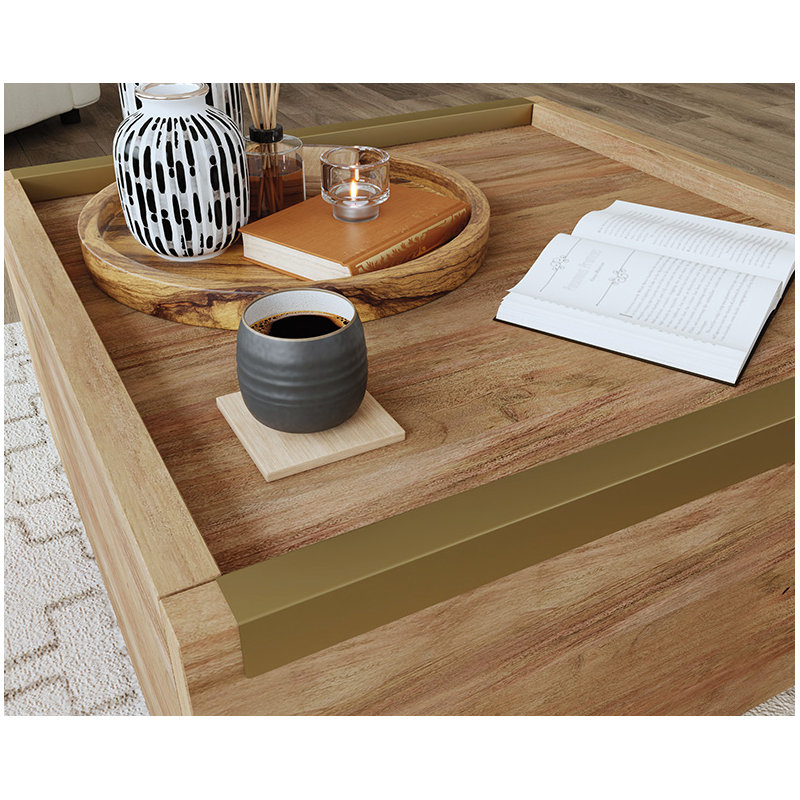 Table basse moderne carrée avec rangement, Tanné