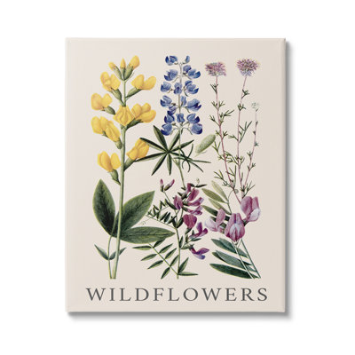 " Wildflower Species Study " by Piddix