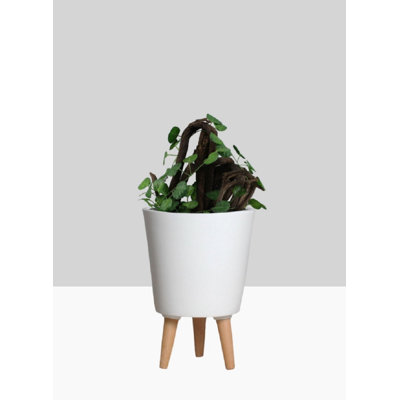 Adelinde Ceramic Pot Planter
