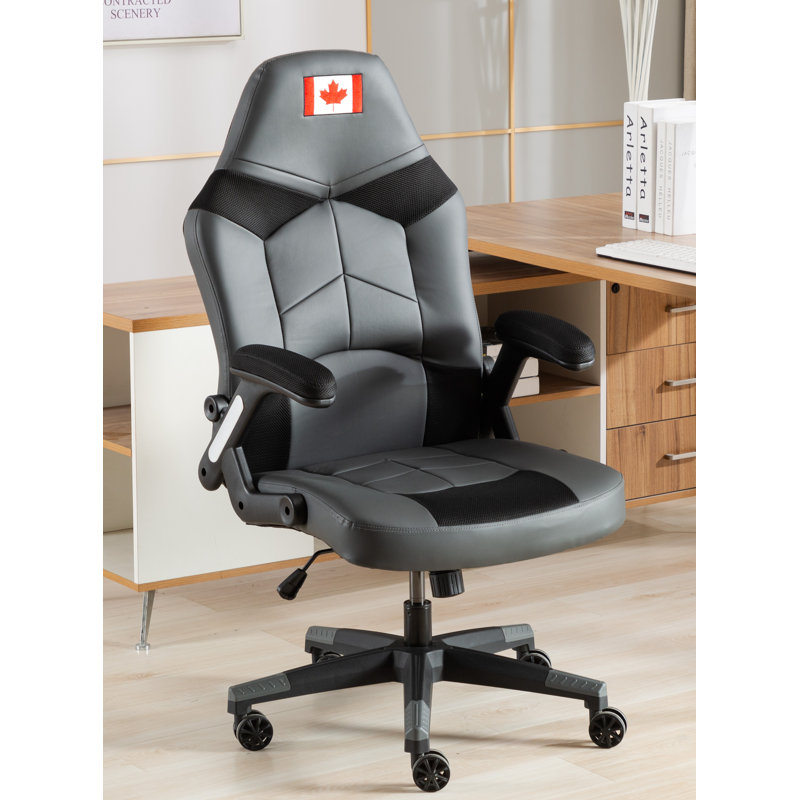 Fauteuil de jeu canadien