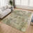 Machine Washable Indoor/Outdoor Chantille ACN2790 Abstract Rug-548508974-548508971
