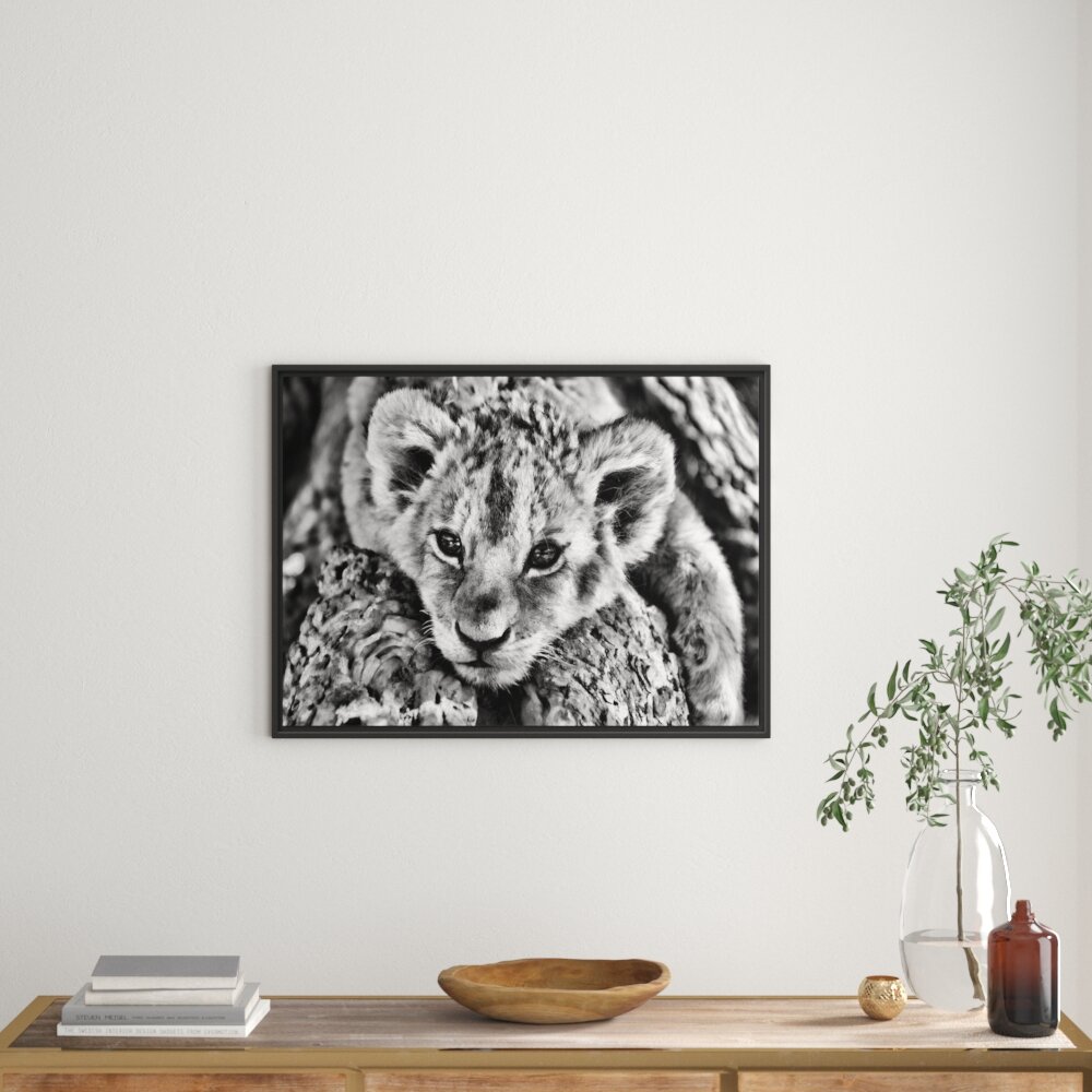 Gerahmtes Wandbild Süßes Tigerbaby