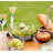 Grapes / Vines 6" Bowl-892611732