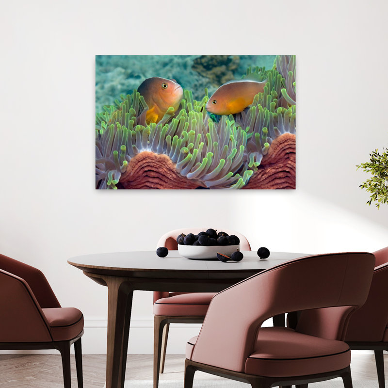 Deux poissons anémone mouffette et anémone de poisson indien, art tropical, H 24 po x l 36 po