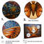 Charlena - ensemble d'impressions d'art mural papillon-108318634-108318637