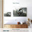 Bathing Buffalo-1567456022