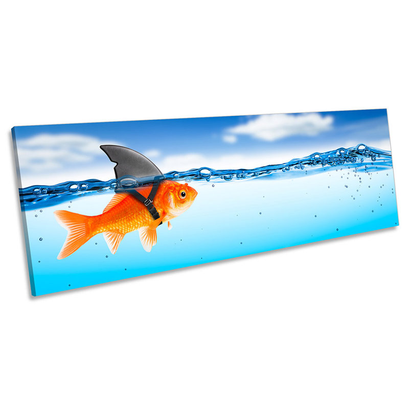 Bathroom Goldfish Shark Fin - Wrapped Canvas Panoramic Print, 30.48cm H x 91.44cm W
