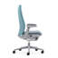 Haworth Fern Mesh Task Chair-72023944-86611505