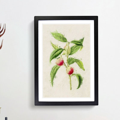 Illustration of Peaches - Picture Frame Painting Print