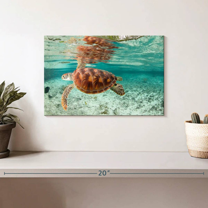 Brampt Bora Bora Sea Turtle, 8" H x 12" W