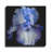 " Ooh Iris " by Pamela Plummer-1372264541