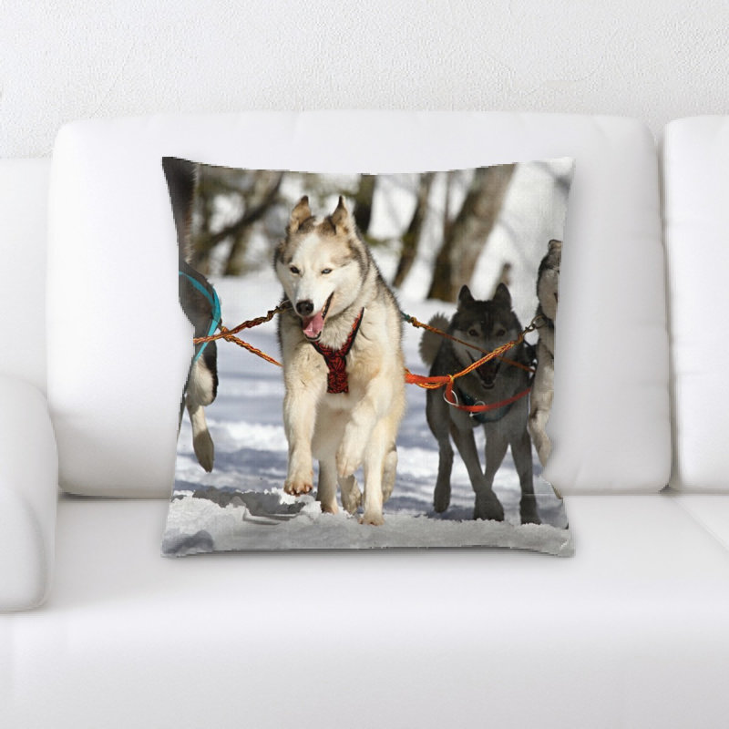 Coussin décoratif à balles