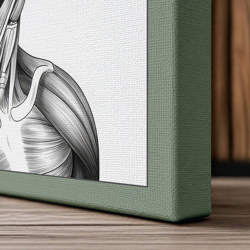 Anatomical Head Study Industrial 1 Piece Wrapped Canvas Wall Art, 30x20 - 76.2 x 50.8 cm, Sage Border