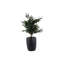 Vase Dex Iron Structured Black-92163496-92163499