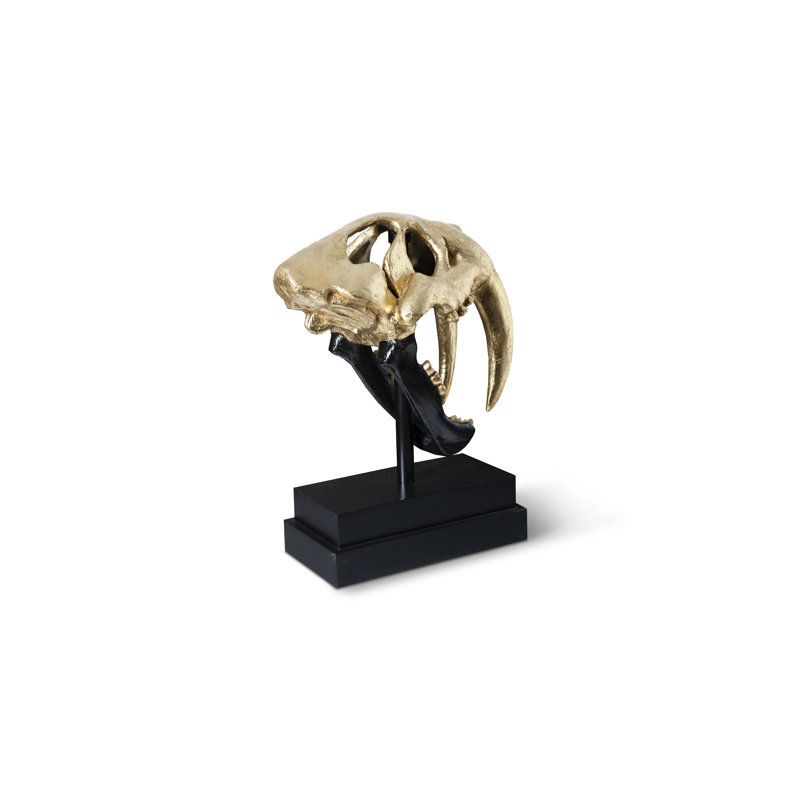 Saber Tooth Tiger Skull, Black/Gold