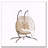 Double Hanging Egg Chair with Stand and UV-Resistant Cushions, Light Yellow-295762100-295762099