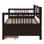 Lit de jour simple en bois avec deux tiroirs-2033124792-2033124794