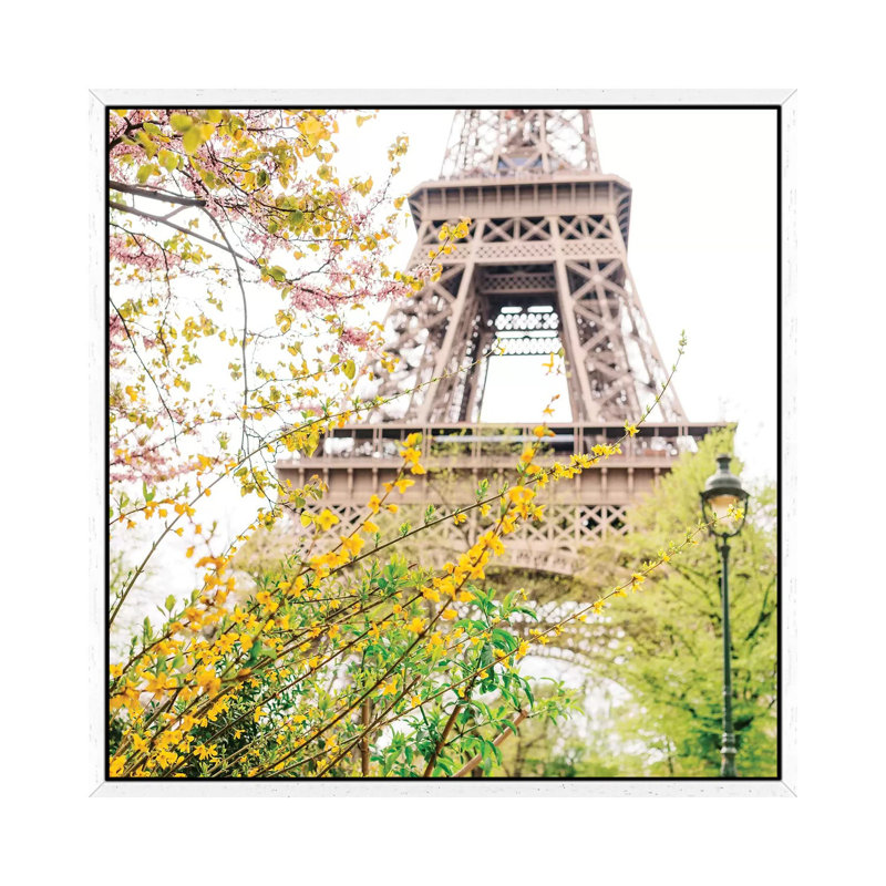 Eiffel Tower VII by Bethany Young - Print on Canvas, 45.72cm H x 45.72cm W x 3.81cm D, White Framed