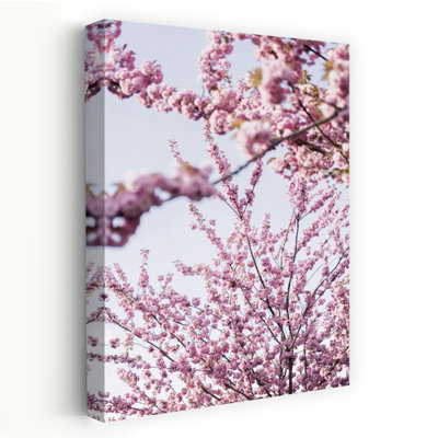Art contemporain contemporain, art contemporain de cerisier en fleurs