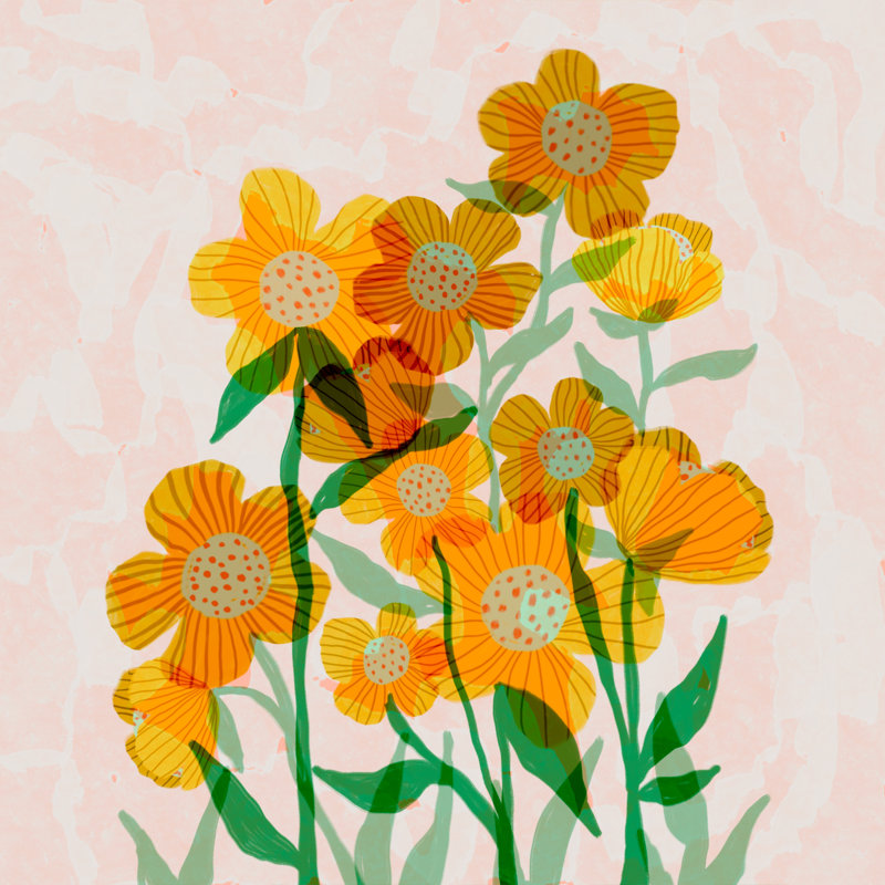 «Buttercups in Sunshine» par Sarah Constantino - reproduction, H 20 po x l 20 po, Non, Toile tendue