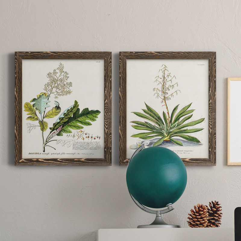 «Allurant Botanical I», ensemble de 2 reproductions d'art sur toiles, Toile avec cadre en noyer, H 20 po x l 17 po x P 1 po