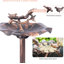 Bain d'oiseaux Doni-1263994295