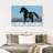 Brampt Purebred Spanish Horse-108908991
