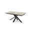Ashok Dining Table-1080284721-1080284732