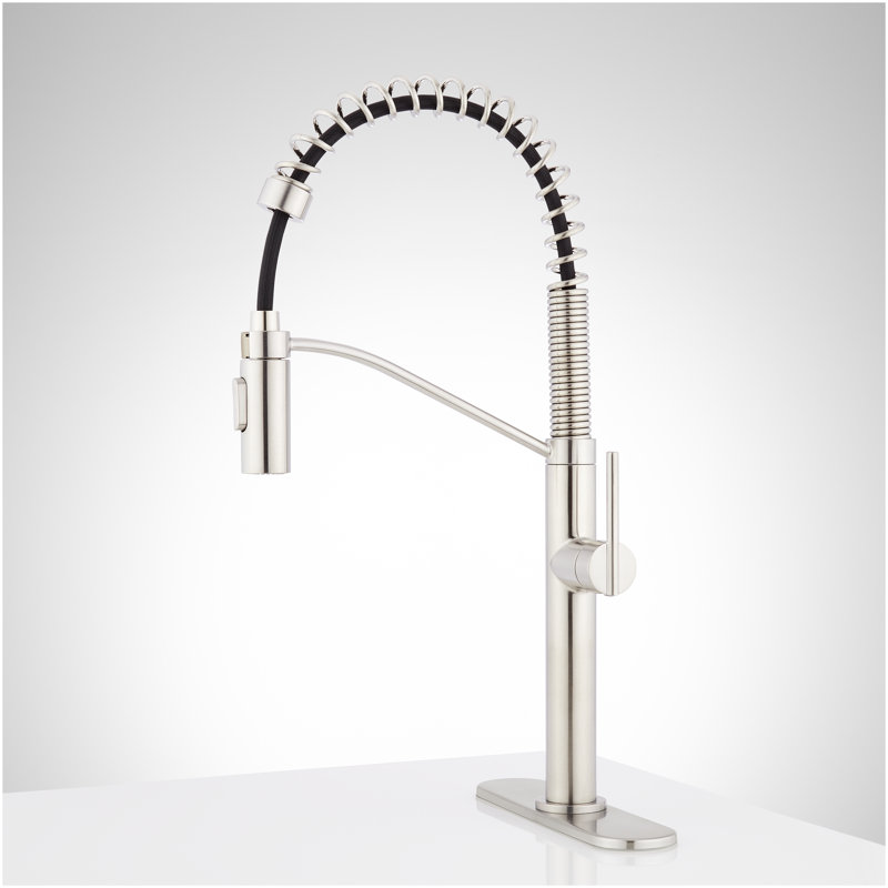 Eiler Kitchen Faucet with Pull Down Spring Spout with Deck Plate - Stainless Steel, Stainless Steel